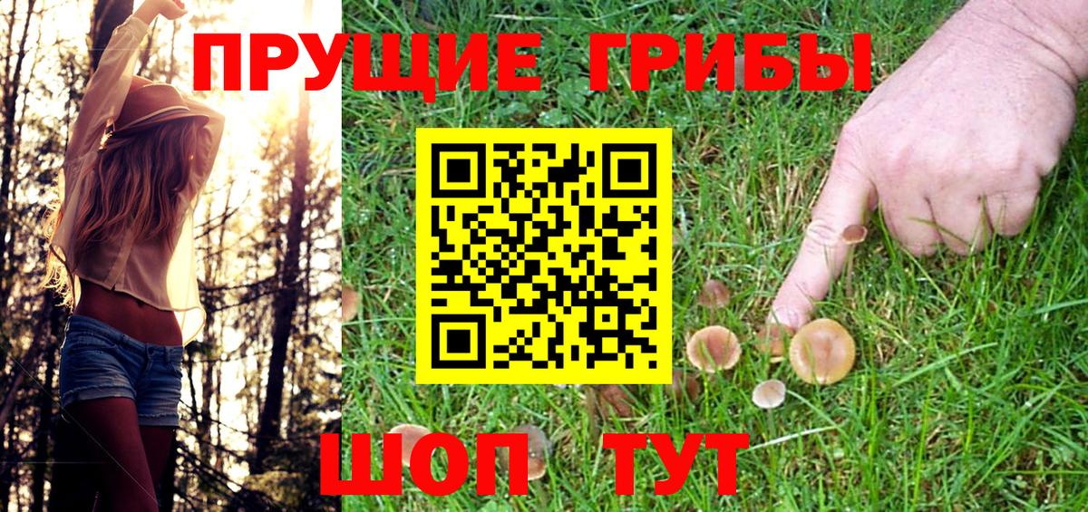 Псилоцибиновые грибы Psilocybe  Вход с VPN  Рязань  Псилоцибиновые грибы мицелий 