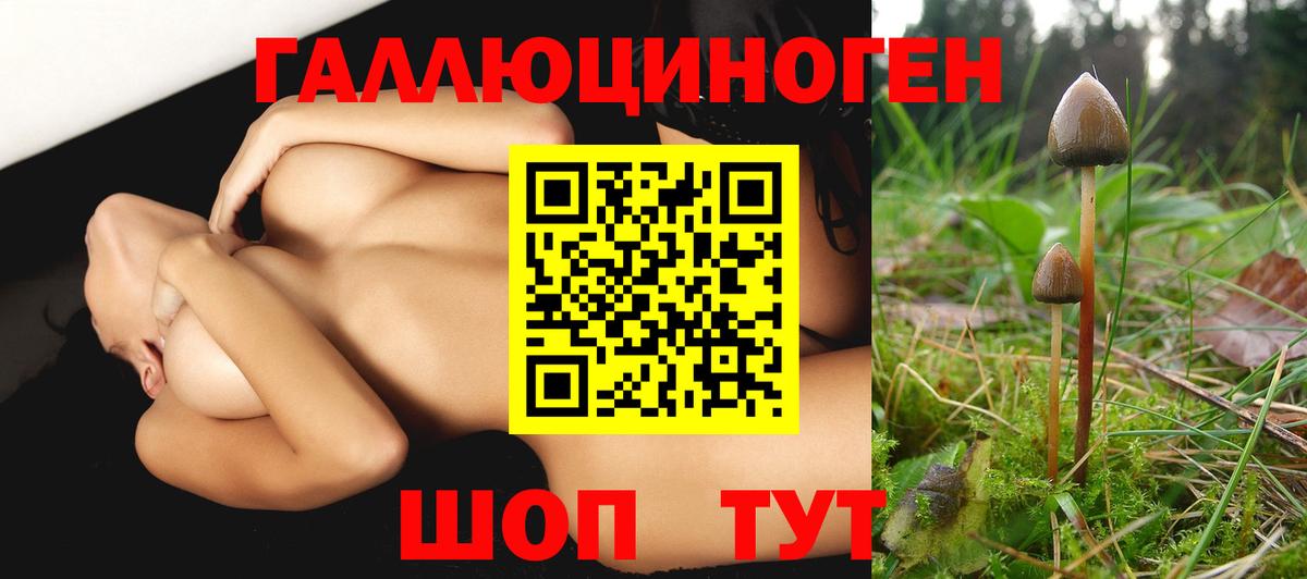 Псилоцибиновые грибы Magic Shrooms Рязань